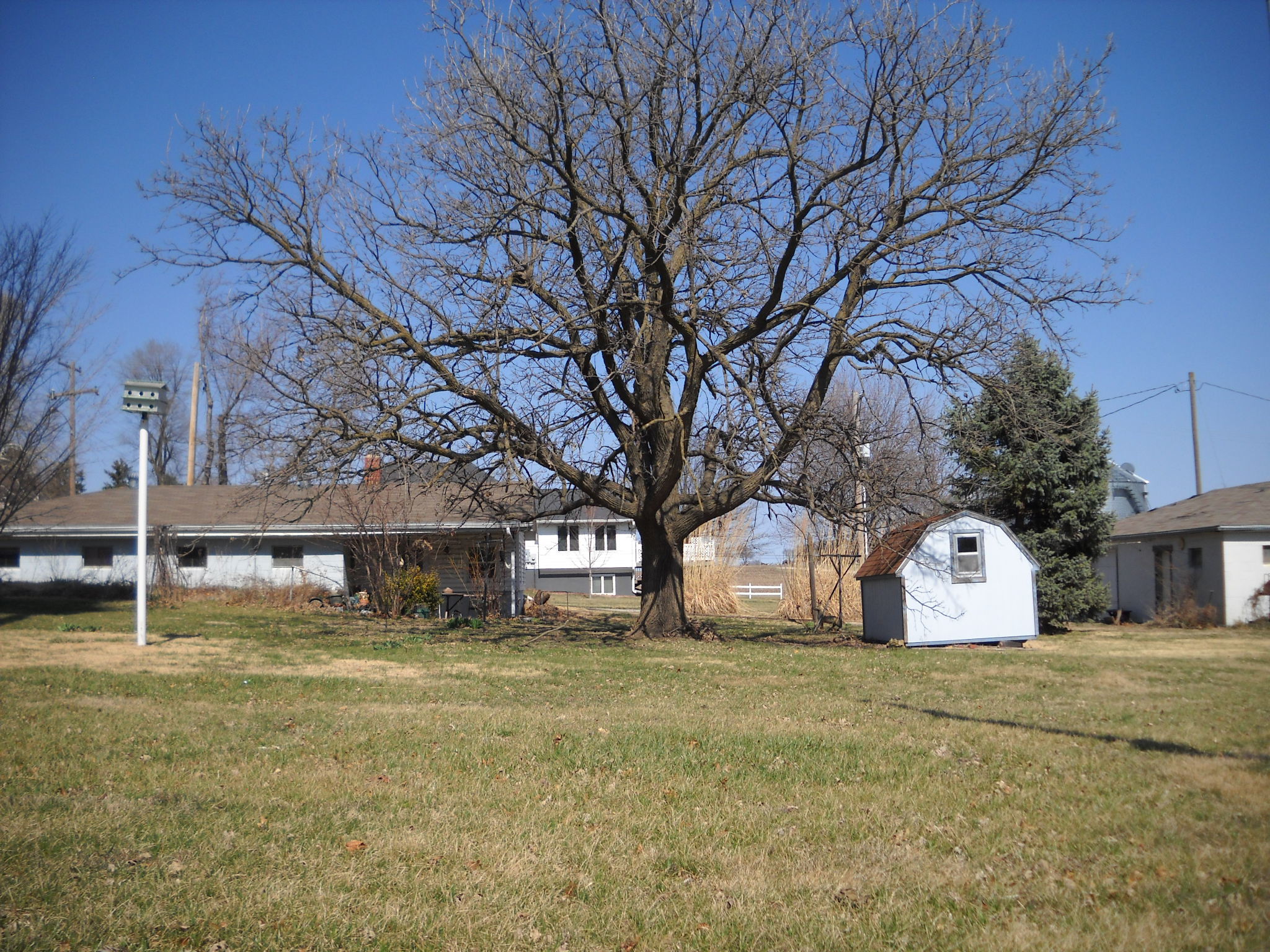 Olmsted Real Estate and Auctions